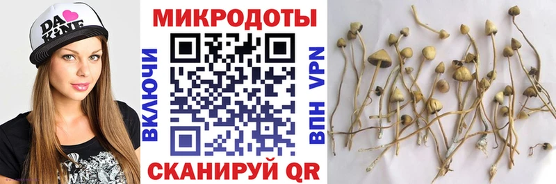 даркнет сайт  Апшеронск  Псилоцибиновые грибы Cubensis 